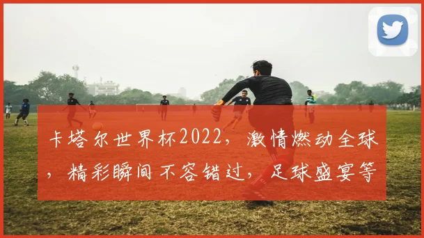 卡塔尔世界杯2022，激情燃动全球，精彩瞬间不容错过，足球盛宴等你来