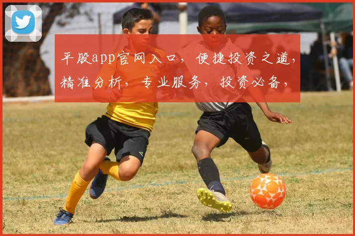 平股app官网入口，便捷投资之道，精准分析，专业服务，投资必备，一网打尽