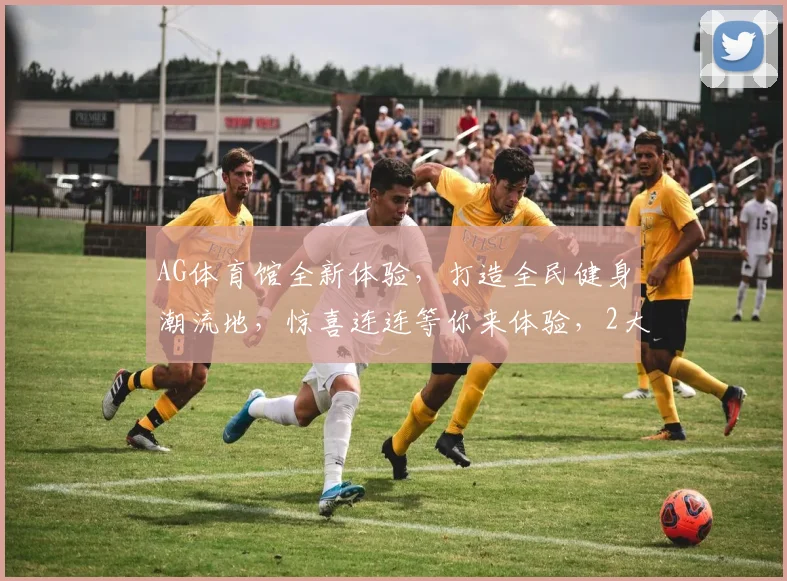 AG体育馆全新体验，打造全民健身潮流地，惊喜连连等你来体验，2大亮点不容错过，邀您共享运动魅力